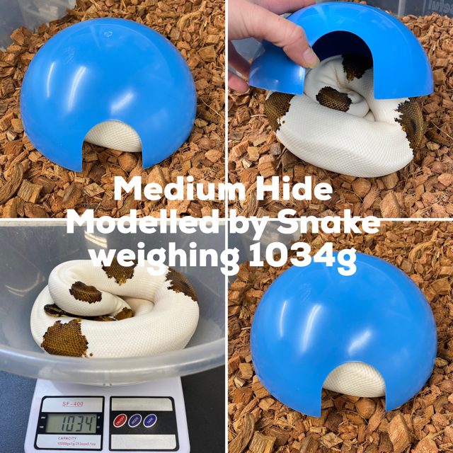 Round Plastic Reptile Hides - Living Art Ball Pythons