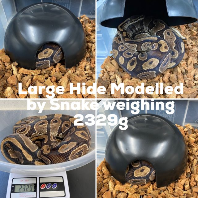 XX-Large Reptile Hide Box For Ball Pythons – Plastic Snake Hideout 15.8x10.8x4.4 Inches