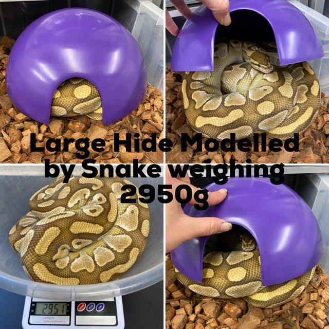 Round Plastic Reptile Hides - Living Art Ball Pythons