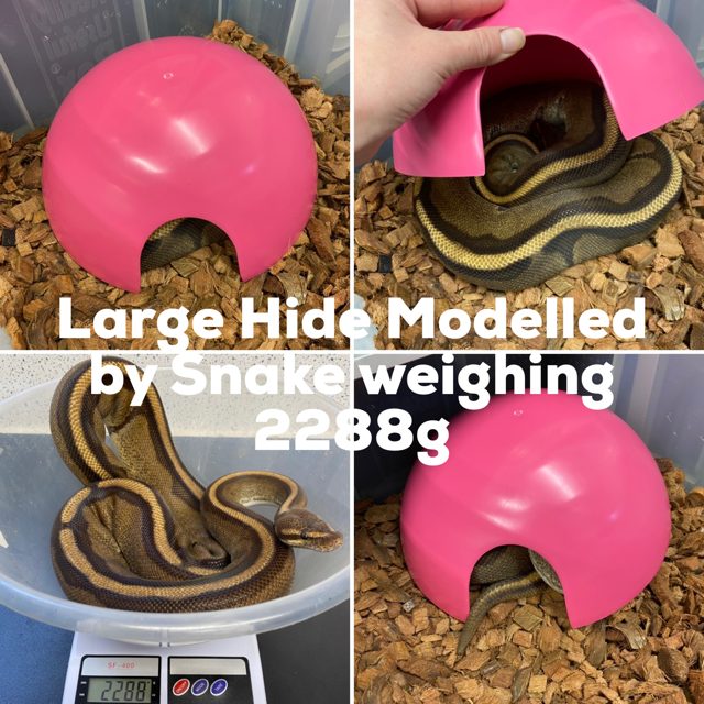 Round Plastic Reptile Hides - Living Art Ball Pythons