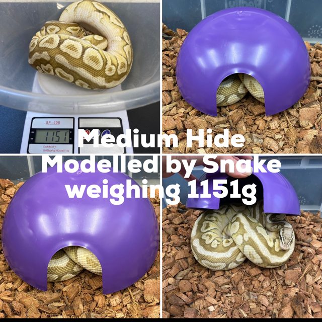 Round Plastic Reptile Hides - Living Art Ball Pythons