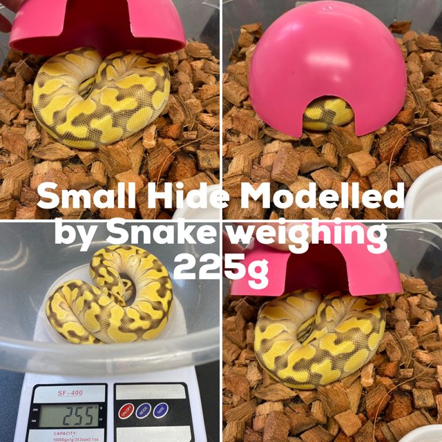 Round Plastic Reptile Hides - Living Art Ball Pythons