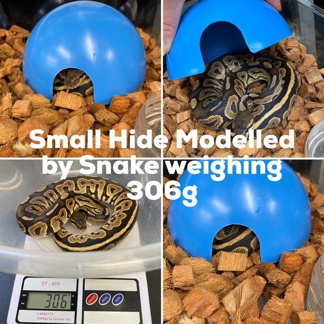 Round Plastic Reptile Hides - Living Art Ball Pythons