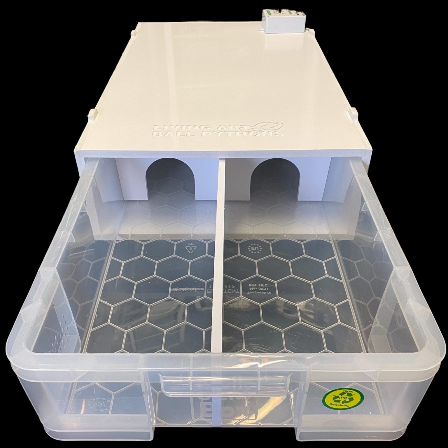 Starter Kits Living Art Ball Pythons