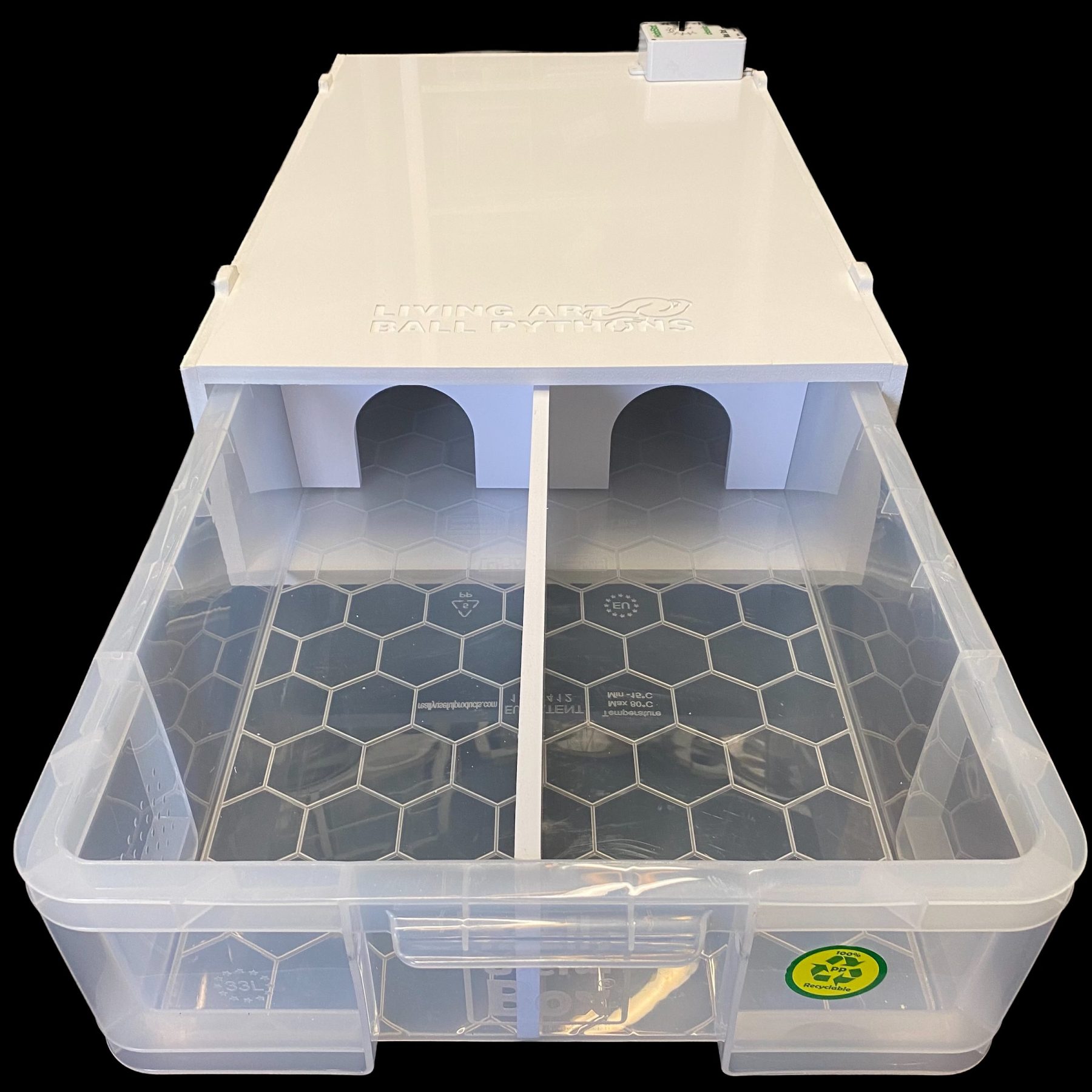 Starter Kits Living Art Ball Pythons