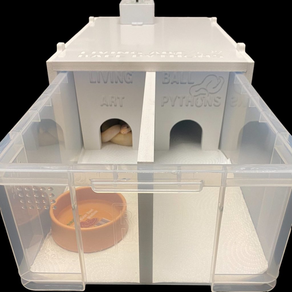 12 Litre Ball Python Starter Set Up Kit Living Art Ball Pythons