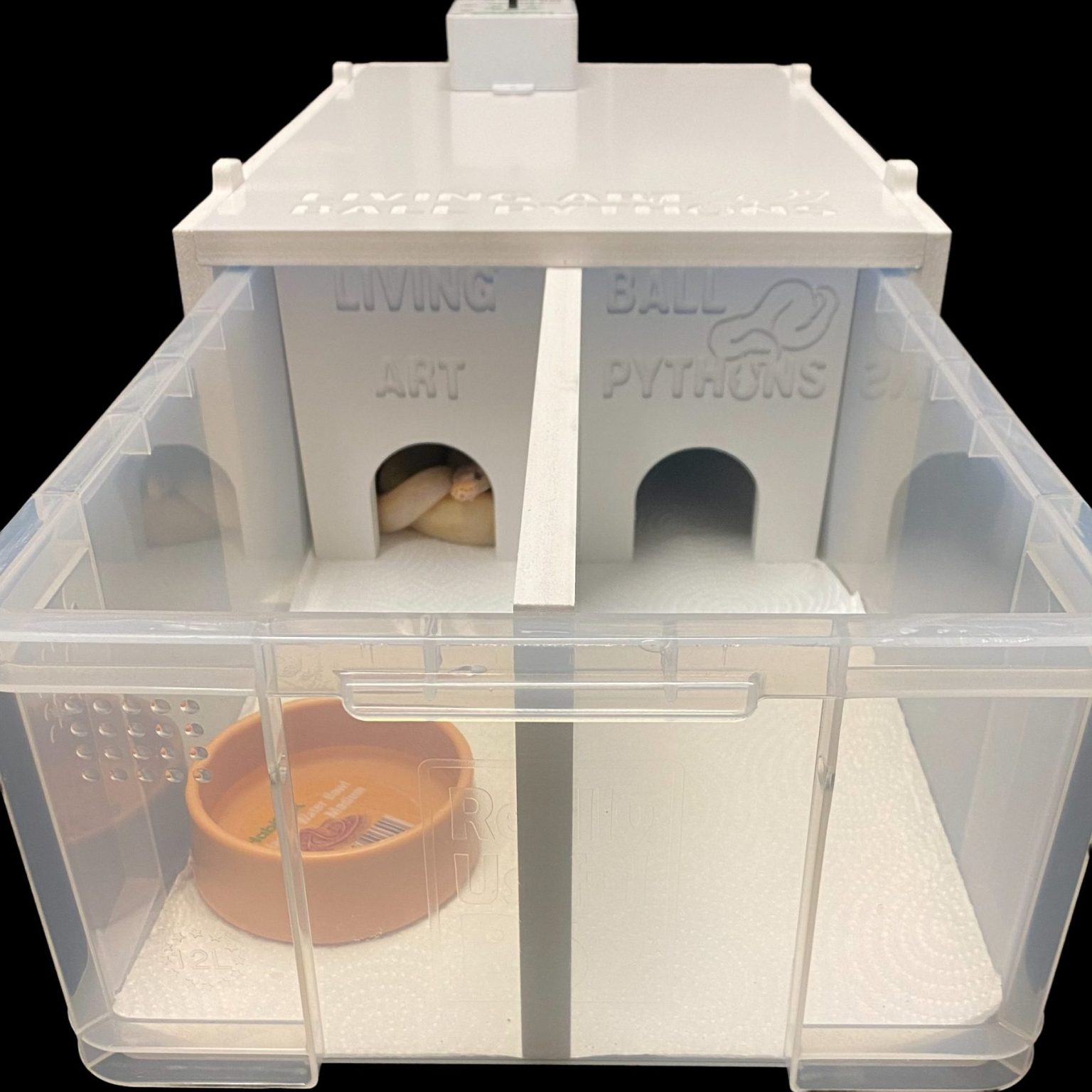 Starter Kits Living Art Ball Pythons