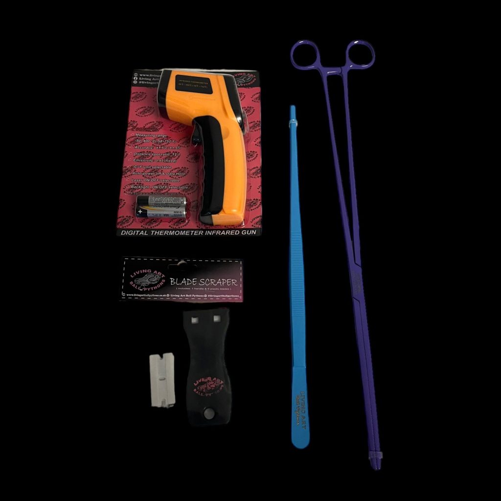 Starter Pack Living Art Ball Pythons