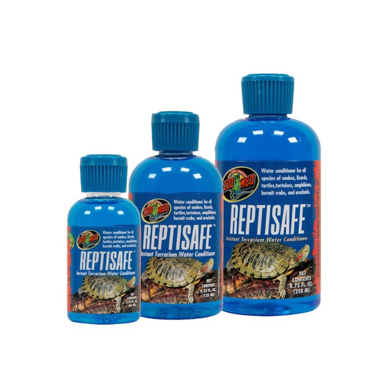 Reptile