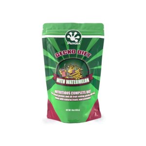 Pangea Gecko Diet with Watermelon