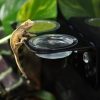 Habistat Arboreal Feeding Ledge - Single and Double Cup