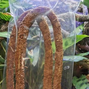 Ridgeway Coco Fibre Flexi Vine