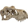Komodo T. Rex Skull