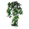 Philodendron-500x500 Komodo Philodendron Hanging Plant 60cm