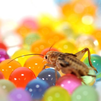 HabiStat H2O Balls – Mini Pot