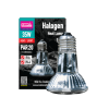 halogen-35w-1-420x420 Arcadia Halogen Heat Lamps