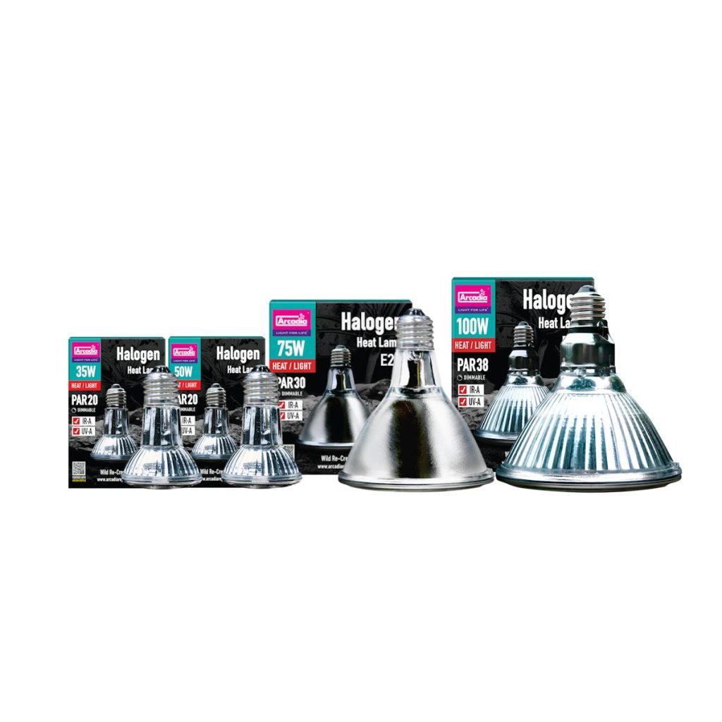 Arcadia Halogen Heat Lamps – Reptile Basking Bulbs (35W, 50W, 75W, 100W)