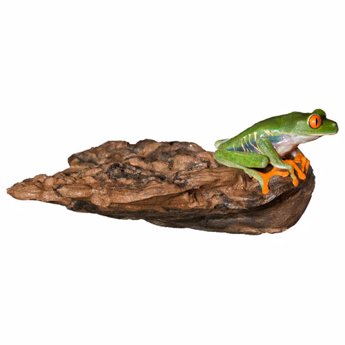 mushroom.avif1 Zoo Med Mushroom Ledge