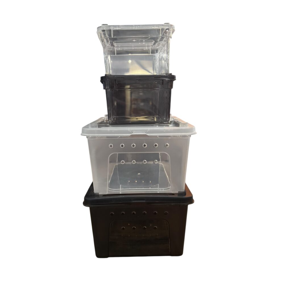 Reptile Transport Tub & Hatchling Container – Insect Breeding Box Reptile Transport Tub & Hatchling Container – Insect Breeding Box