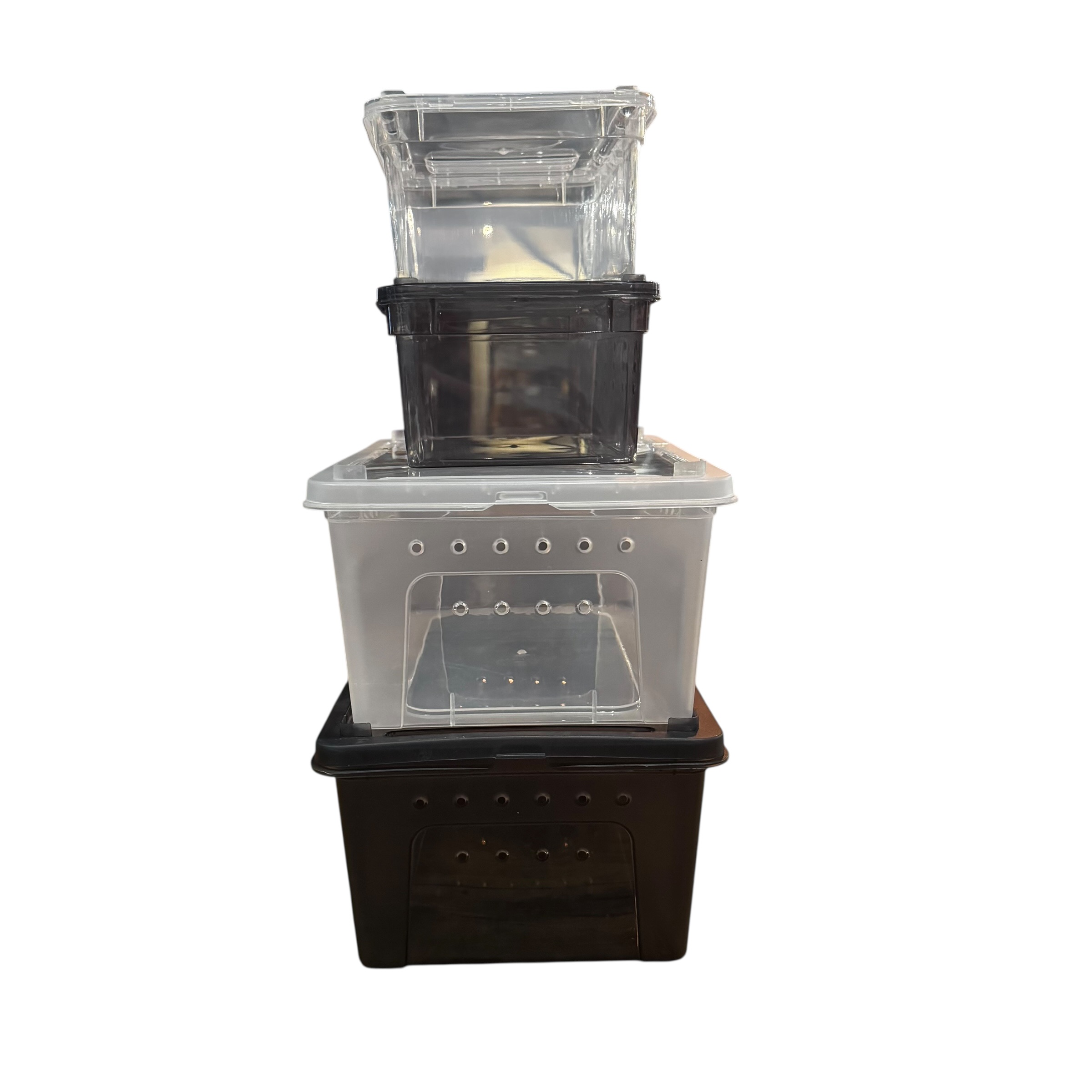 Reptile Transport Tub & Hatchling Container – Insect Breeding Box