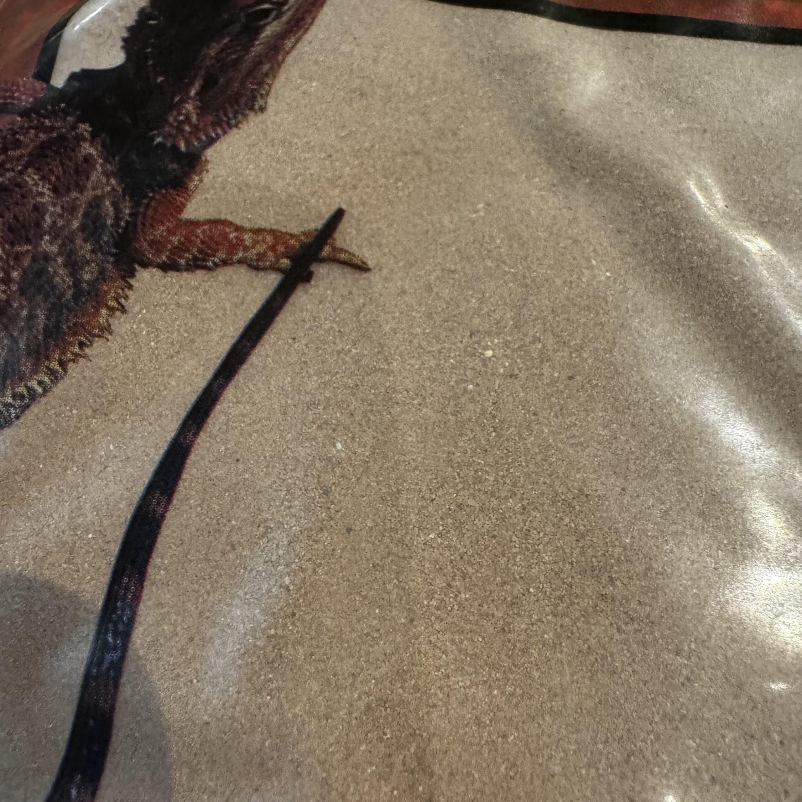 reptisand.jpeg1 Zoo Med Repti Sand 4.5kg - Natural Red & Desert White