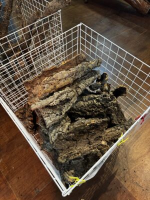 Cork bark flats1 Natural Cork Bark Flats for Reptiles, Geckos, Invertebrates & Bioactive Vivariums