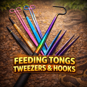 Reptile Feeding Tools - Tongs, Tweezers & Snake Hooks Acrylic Arboreal Invertebrate Enclosure 75x75x150mm – Magnetic Door Terrarium