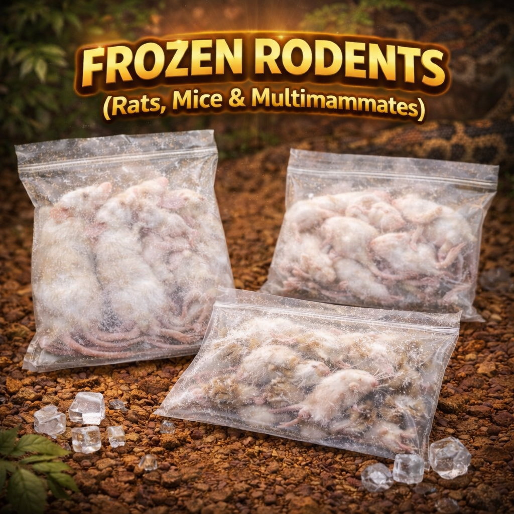 Frozen Rodents (Rats, Mice & Multimammates)