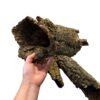Natural Cork Bark Tubes for Reptiles, Invertebrates & Bioactive Vivariums
