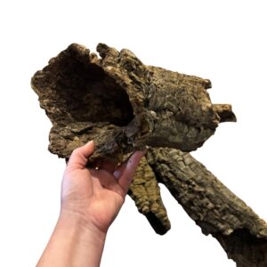 Natural Cork Bark Tubes for Reptiles, Invertebrates & Bioactive Vivariums
