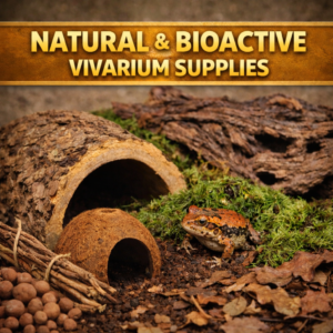 Natural & Bioactive Vivarium Supplies Acrylic Arboreal Invertebrate Enclosure 75x75x150mm – Magnetic Door Terrarium