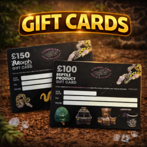 Reptile Gift Cards Acrylic Arboreal Invertebrate Enclosure 75x75x150mm – Magnetic Door Terrarium