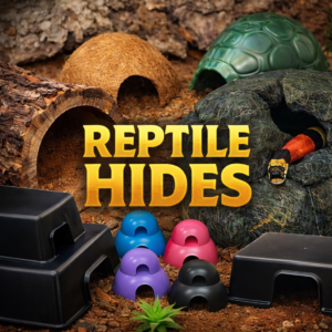 Reptile Hides Acrylic Arboreal Invertebrate Enclosure 75x75x150mm – Magnetic Door Terrarium