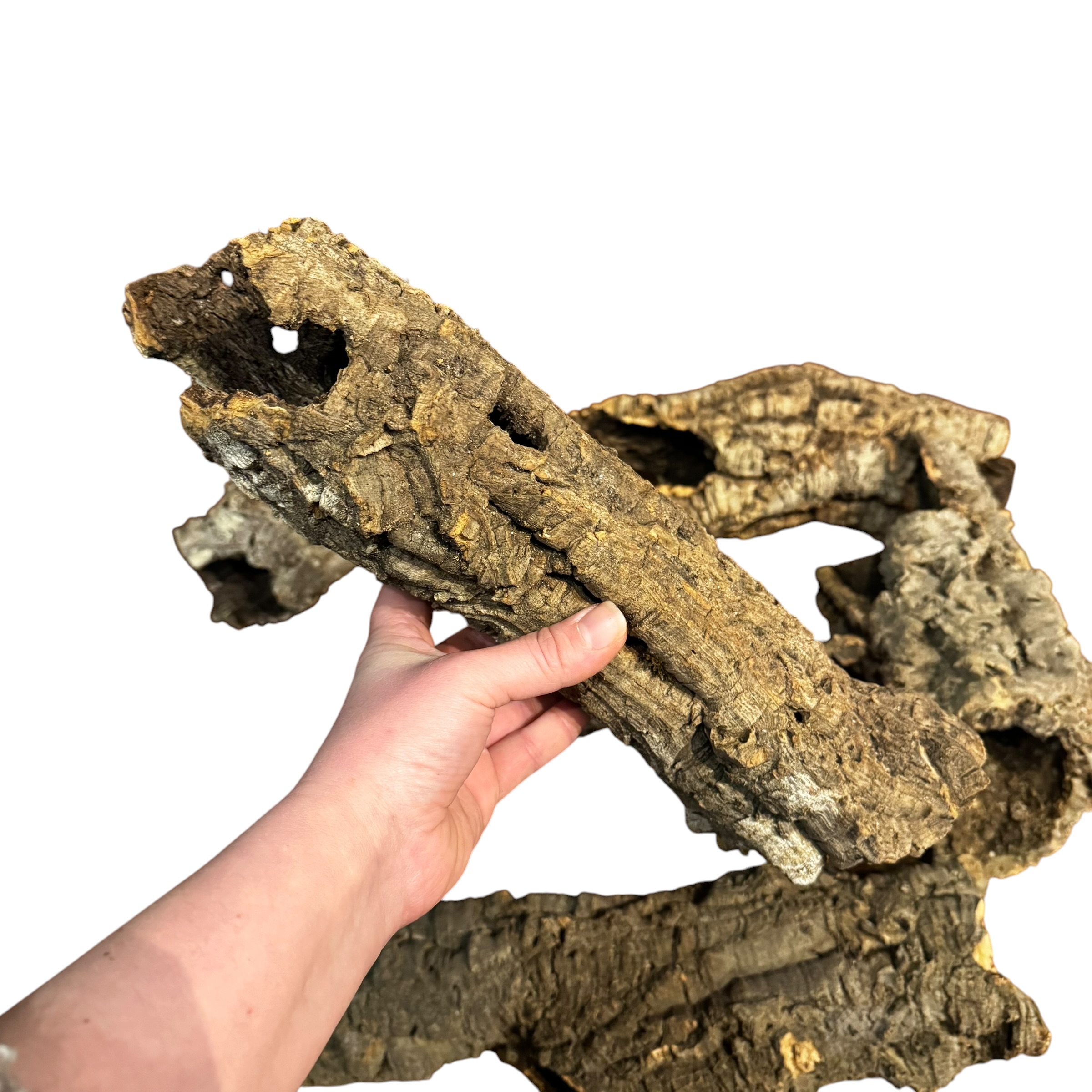 Natural Cork Bark Tubes for Reptiles, Invertebrates & Bioactive Vivariums