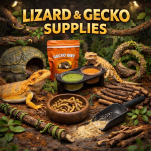Lizard & Gecko Supplies Acrylic Arboreal Invertebrate Enclosure 75x75x150mm – Magnetic Door Terrarium