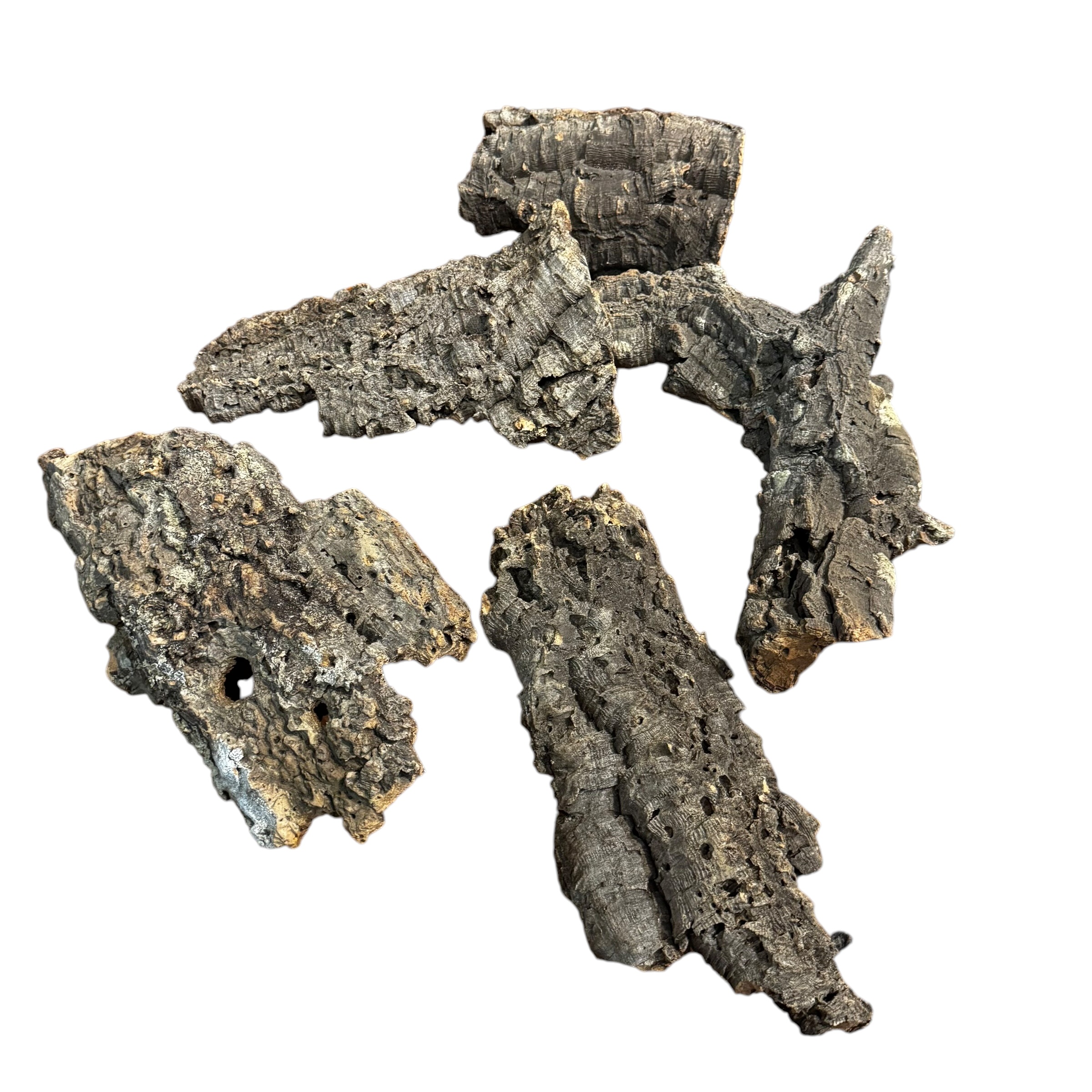 Natural Cork Bark Flats for Reptiles, Geckos, Invertebrates & Bioactive Vivariums
