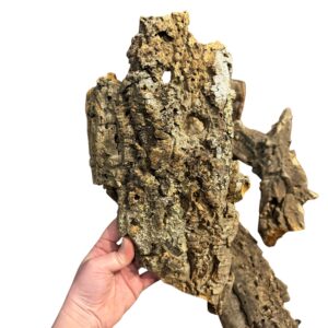 medium cork bark flats2 Natural Cork Bark Flats for Reptiles, Geckos, Invertebrates & Bioactive Vivariums
