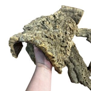 medium cork bark flats4 Natural Cork Bark Flats for Reptiles, Geckos, Invertebrates & Bioactive Vivariums
