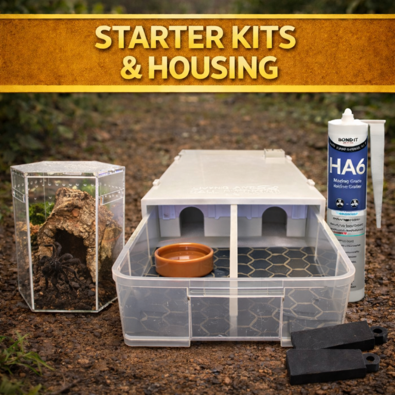 Reptile Starter Kits and Housing