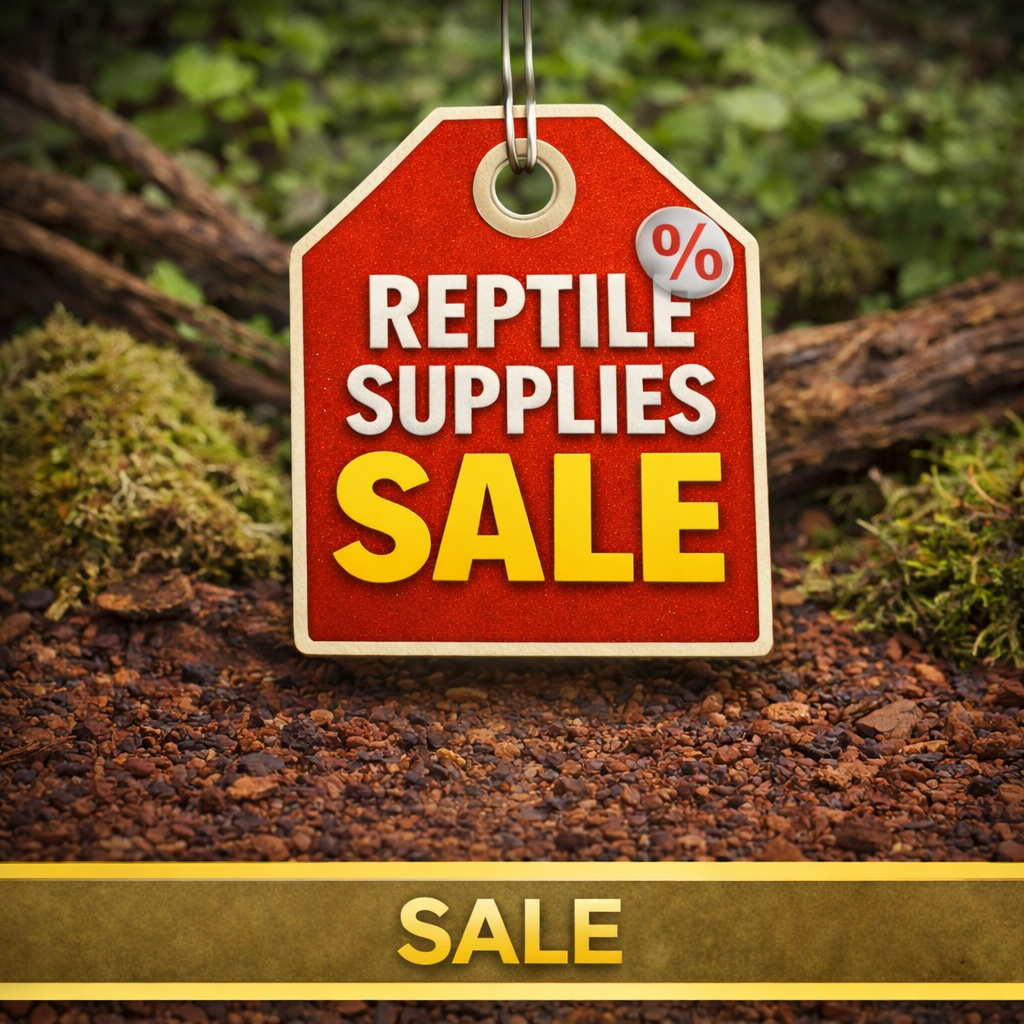 Reptile Supplies Sales