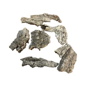 small cork bark flats Natural Cork Bark Flats for Reptiles, Geckos, Invertebrates & Bioactive Vivariums