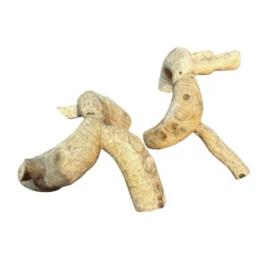 Bamboo root large4 Natural Bamboo Root Branches for Reptile & Bioactive Vivariums – Small, Medium & Large