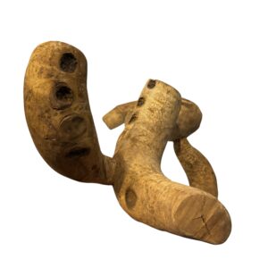 Bamboo root medium 2 Natural Bamboo Root Branches for Reptile & Bioactive Vivariums – Small, Medium & Large