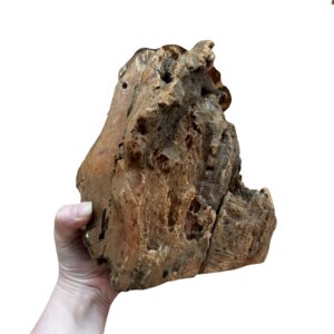 Natural Driftwood for Reptile & Bioactive Vivariums – Small, Medium & Large