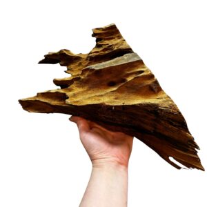 Natural Driftwood for Reptile & Bioactive Vivariums – Small, Medium & Large