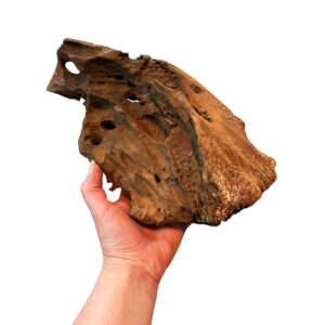Natural Driftwood for Reptile & Bioactive Vivariums – Small, Medium & Large