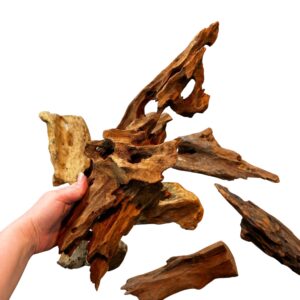 Natural Driftwood for Reptile & Bioactive Vivariums – Small, Medium & Large