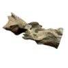 Natural Driftwood for Reptile & Bioactive Vivariums – Small, Medium & Large
