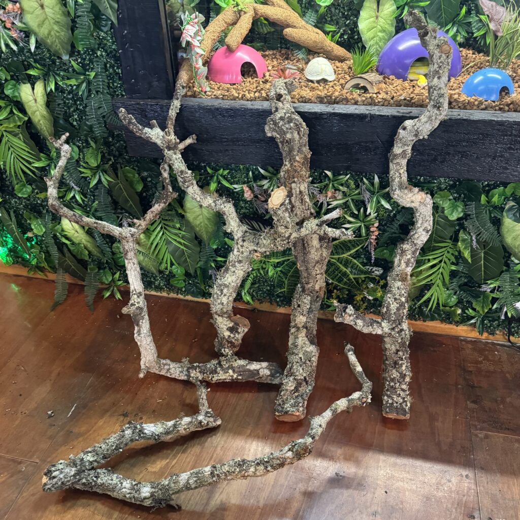 Natural Cork Bark Branches & Climbing Wood for Reptiles & Bioactive Vivariums (30–100cm)