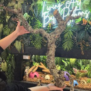Natural Cork Bark Branches & Climbing Wood for Reptiles & Bioactive Vivariums (30–100cm)